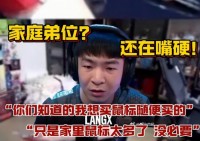 弟弟的家庭竞争？ Langx：你知道我可以买任何我想要的鼠标！